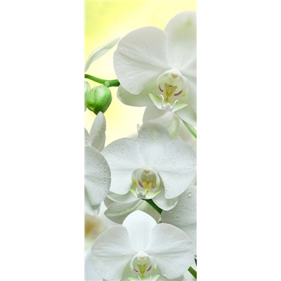 Рулонная штора лен "Белая орхидея"  (d-200005-gr)
