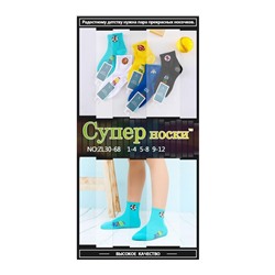 Детские носки Супер носки ZL30-68