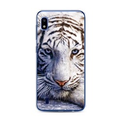 Силиконовый чехол Бенгальский тигр на Samsung Galaxy A10