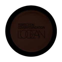 L’ocean Консилер / Perfection Cover Foundation #43 Mud brown, 16 г