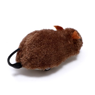 Игрушка инерционная «Мышонок», цвета МИКС