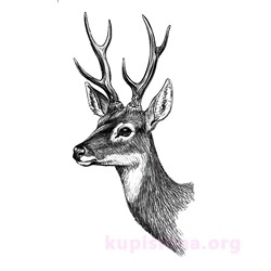 Временная татуировка «Deer»