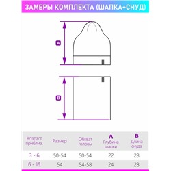 Комплект для мальчика NIKASTYLE Шапка снуд NS 12з11323 черный