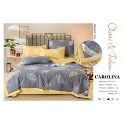 ОПТ/ Carolina Комплект постельного белья с одеялом/Евро FC4431