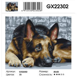 GX 22302 Овчарка