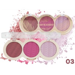 Румяна матовые SeVen Cool Bright Blusher Kit, 3 цвета, ТОН 03