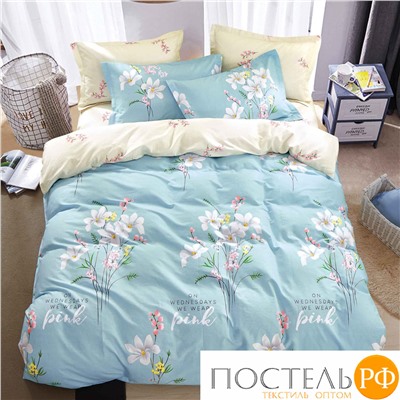 TPIG4-1296 КОД1050 КПБ Twill 1,5 спальный 70x70 (1 шт), 50x70 (1 шт) Сатин (Твил) Коробка