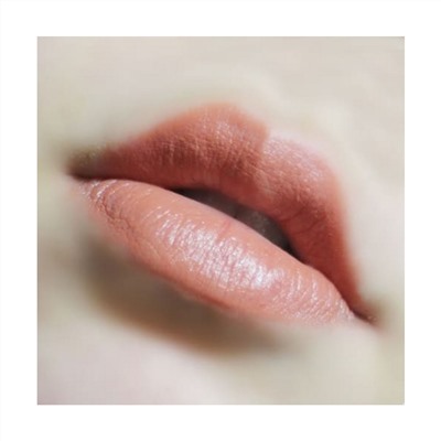 Jigott Кремовая помада для губ / Romantic Kiss Lipstick 02, Edge Gold Shine, 3,5 г