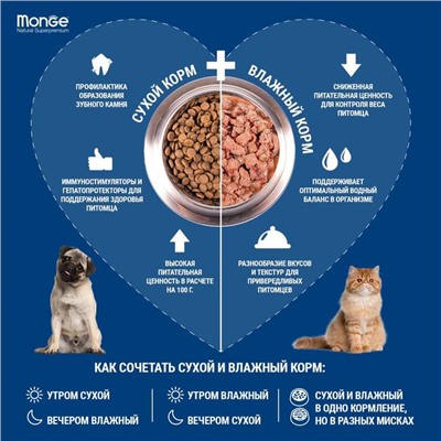 Сухой корм Monge Cat Speciality Line Monoprotein Adult для кошек, лосось, 400 г