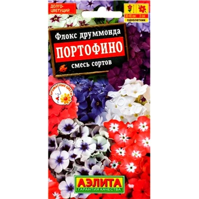 Флокс друммонда Портофино Аэлита