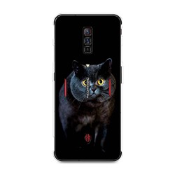 Силиконовый чехол Кот Британец на ZTE Nubia Red Magic 6