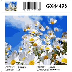 GX 44493