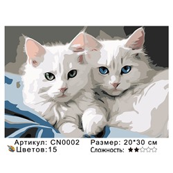 CN0002 Картины по номерам 20*30 цвет.холст