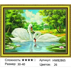 AM34 HWB2865, 30х40 см