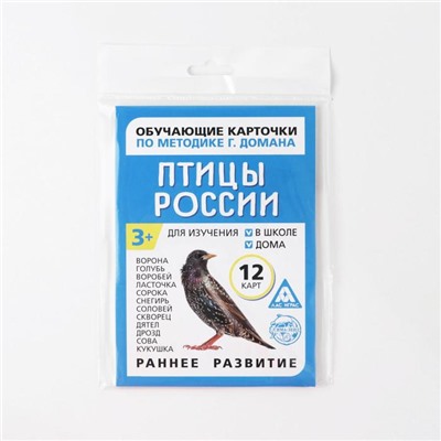 Обучающие карточки по методике Г. Домана «Птицы России», 12 карт, А6