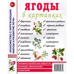 Ягоды в картинках. Наглядное пособие для педагогов, логопедов, воспитателей и родителей