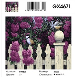 GX 4671