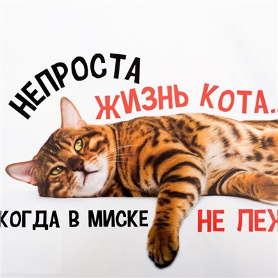 Коврик под миску «Не проста жизнь кота», 43х28 см
