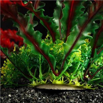 Растение искусственное аквариумное, 22 см, красно-зелёный