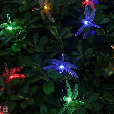 INBLOOM Гирлянда на солн. батарее, 25LED, 7м, 2 реж, стрекоза, 2V80mA, 1.2V600mAh