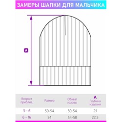 Шапка утепленная для мальчика NIKASTYLE 11з12123 черный