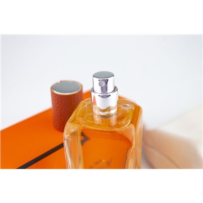 Hermes Ambre Narguile, Edt, 100 ml (Lux Europe)