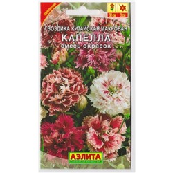 Гвоздика Китайская Капелла (Код: 9745)