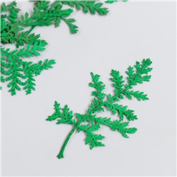 Сухоцвет "Лист папоротника" зелёный h=4-7 см
