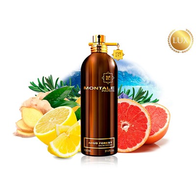 MONTALE AOUD FOREST, Edp, 100 ml