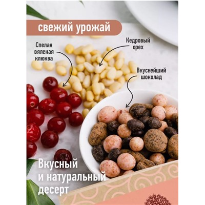 Ядро кедрового ореха и клюква вяленая в шоколаде / ассорти / 60 г / дой-пак / Сибирский кедр