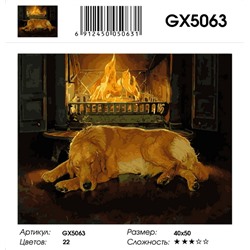 GX 5063