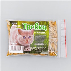 Семена травка для проращивания, "Эльф", для кошек, пакет, 20 г