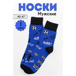 Носки мужские Фанат (1 пара) синий