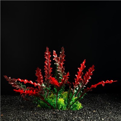 Растение искусственное аквариумное, 22 см, красно-зелёный