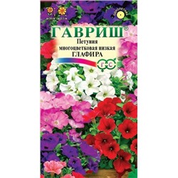 Петуния Глафира Гавриш