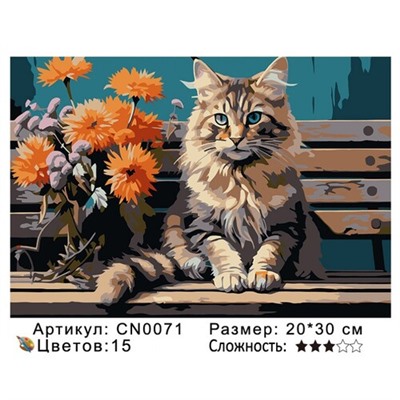 PH23 CN0071, 20х30 см