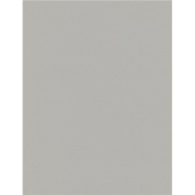 Рулонная штора ролло "Сантайм Уни", серый  (df-200662-gr)