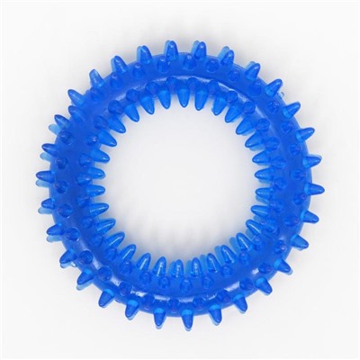 Игрушка жевательная "Игольчатое кольцо", 9 см, синяя