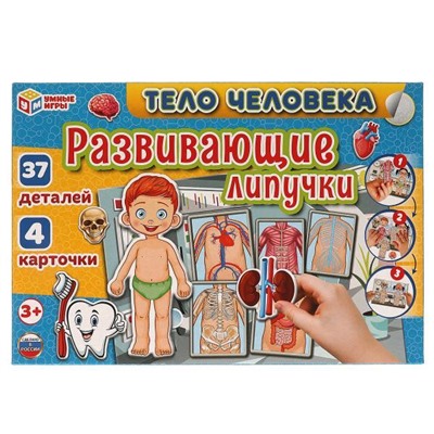 Развивающая игра с липучками Тело человека. Умные игры