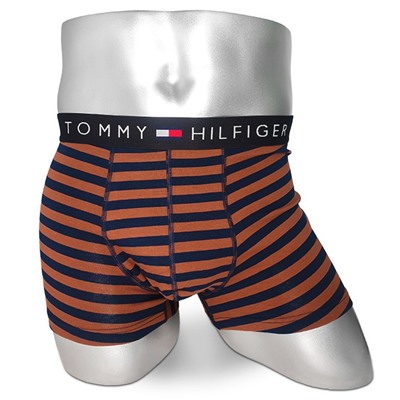 Мужские боксеры Tommy Hilfiger коричневые в синюю полоску T19