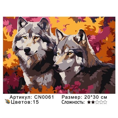 PH23 CN0061, 20х30 см