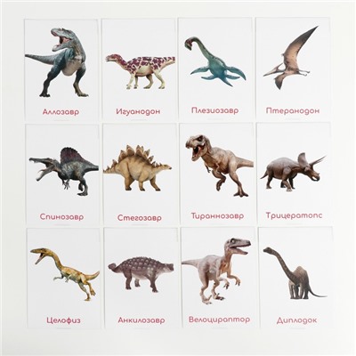 Обучающие карточки по методике Глена Домана «Динозавры», 12 карт, А6, в коробке