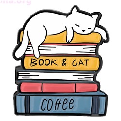 Брошь-значок «Book & cat»