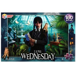 Пазл классический в коробке. I love Wednesday. 160 деталей. 285х190х33 мм. Умные игры