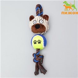 Игрушка для собак 3-в-1 "Медведь": канатная, мягкая с пищалкой, войлочный мяч, 30 см