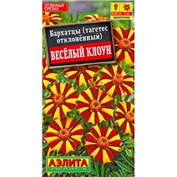 Бархатцы Веселый Клоун Аэлита