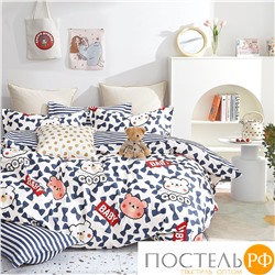 TPIG4-1621 КОД1050, Twill 1,5 спальный, 50x70 (1 шт), 70x70 (1 шт), Сатин (Твил), Коробка