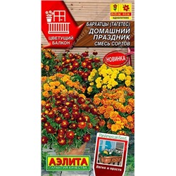 Бархатцы Домашний праздник (Код: 88808)