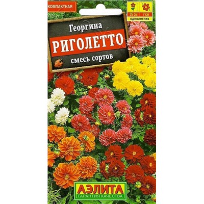 Георгина Риголетто (смесь) (Код: 68391)