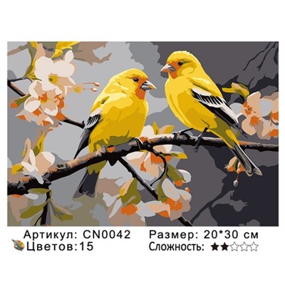 PH23 CN0042, 20х30 см